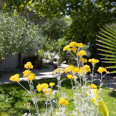 Апартаменты Anastasia *