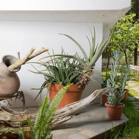 Anastasia * Ханиоти