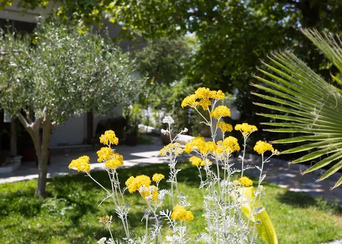 Appartement Anastasia *