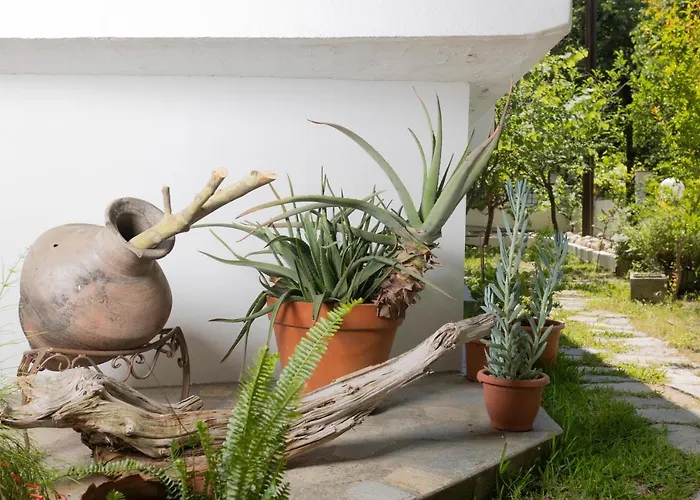 Anastasia * Chaniotis